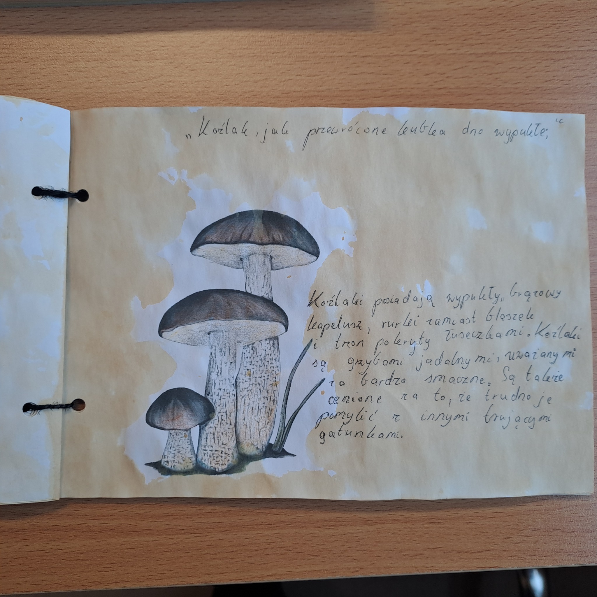 Read more about the article Projekt na lekcji języka polskiego