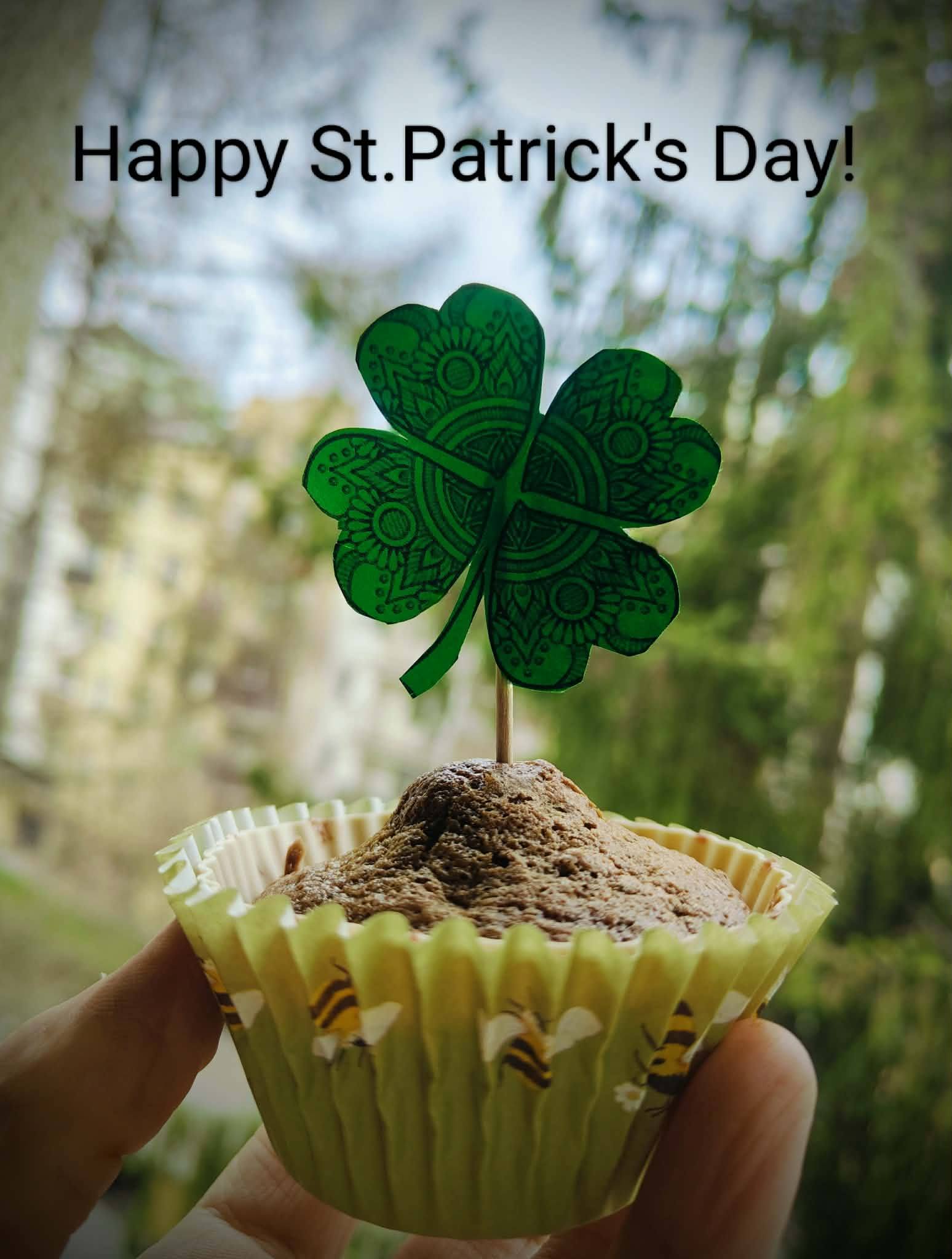 Read more about the article St. Patrick’s Day!